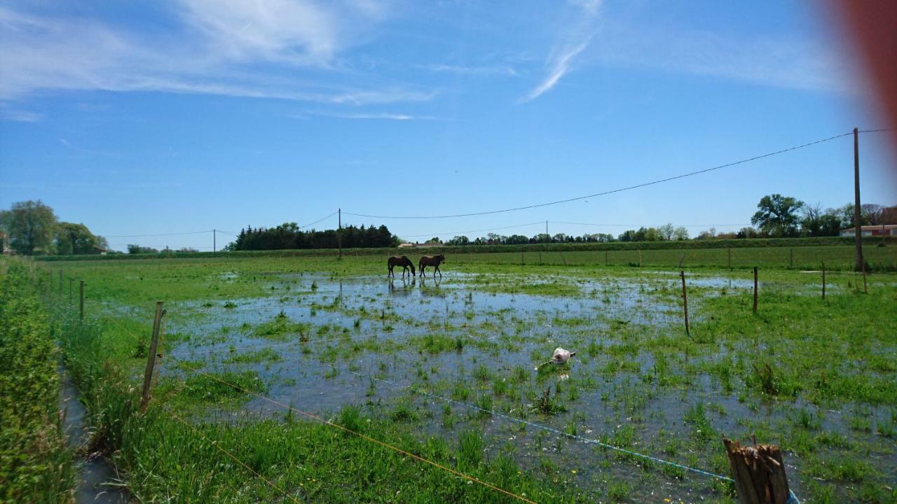 Les Prairies Mas Roux Vendégház Raphèle Kültér fotó